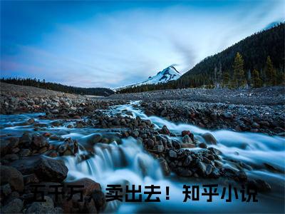 五千万，卖出去！全文免费阅读大结局-迟欢欢厉云朗完整版无弹窗