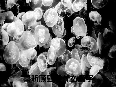 秦昕顾野正版小说全文阅读 秦昕顾野全文免费完整版