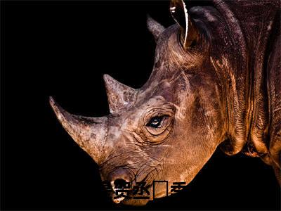 贺丞袀季清舒(贺丞袀季清舒)全文免费阅读无弹窗大结局_(贺丞袀季清舒)免费阅读无弹窗最新章节列表