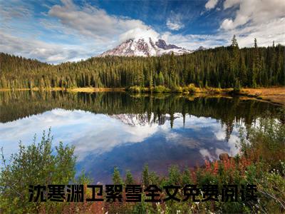 沈寒渊卫絮雪(沈寒渊卫絮雪)全文免费阅读大结局_沈寒渊卫絮雪免费在线阅读_笔趣阁（沈寒渊卫絮雪）