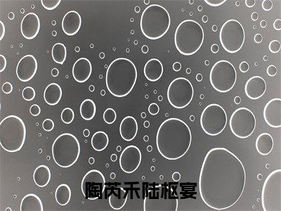 陶芮禾陆枢宴小说精彩章节今日阅读更新-（陶芮禾陆枢宴小说）免费阅读小说全文