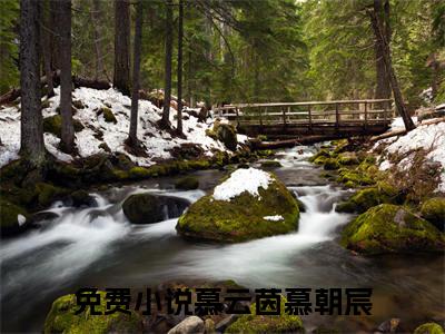 慕云茵慕朝宸(慕云茵慕朝宸）小说全文免费阅读无弹窗大结局_慕云茵慕朝宸全文免费阅读