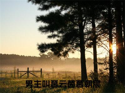 慕云茵慕朝宸（慕云茵慕朝宸）全文免费阅读无弹窗大结局_慕云茵慕朝宸最新章节列表_笔趣阁（慕云茵慕朝宸）