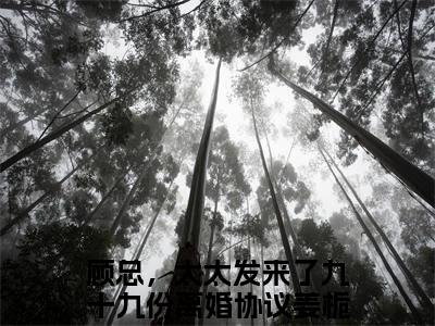 顾总，太太发来了九十九份离婚协议姜栀（顾总，太太发来了九十九份离婚协议姜栀txt）全文免费阅读无弹窗大结局_顾总，太太发来了九十九份离婚协议姜栀最新章节列表_笔趣阁（顾总，太太发来了九十九份离婚协议姜栀txt）
