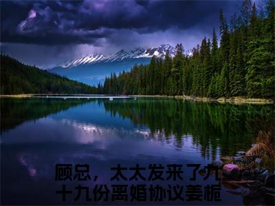 顾总，太太发来了九十九份离婚协议姜栀（顾总，太太发来了九十九份离婚协议姜栀）全文免费阅读无弹窗大结局顾总，太太发来了九十九份离婚协议姜栀