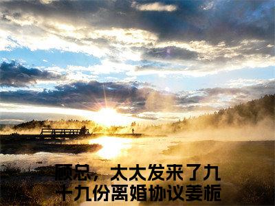 免费小说（顾总，太太发来了九十九份离婚协议姜栀）全文免费阅读无弹窗-顾总，太太发来了九十九份离婚协议姜栀小说全文在线赏析