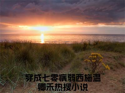 热文（穿成七零病弱西施温卿禾）美文阅读_热门小说主人公是（穿成七零病弱西施温卿禾）完整版最新小说大结局_笔趣阁