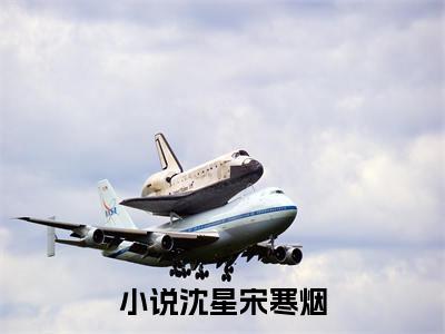 沈星宋寒烟（沈星宋寒烟）小说全文免费阅读无弹窗大结局_沈星宋寒烟最新章节列表笔趣阁（沈星宋寒烟）