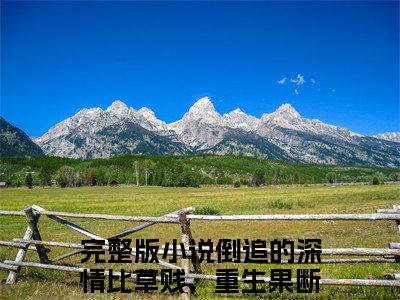 许知予秦仰全网热搜（倒追的深情比草贱，重生果断分手）是什么小说，许知予秦仰免费阅读无弹窗