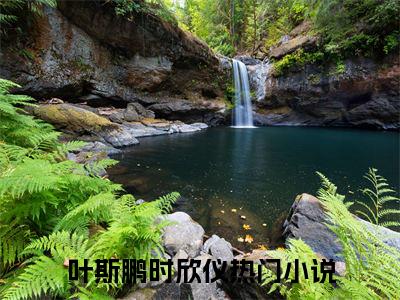 叶斯鹏时欣仪全文免费阅读无弹窗大结局-叶斯鹏时欣仪全文在线阅读最新章节列表_笔趣阁