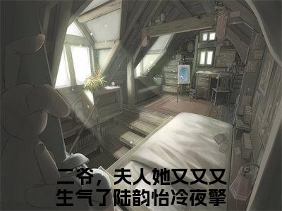 陆韵怡冷夜擎全文免费阅读（二爷，夫人她又又又生气了免费阅读无弹窗）陆韵怡冷夜擎最新章节列表