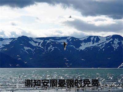（谢知安周晏）全文免费阅读无弹窗大结局_（谢知安周晏阅读无弹窗）谢知安周晏最新章节列表_笔趣阁（谢知安周晏）