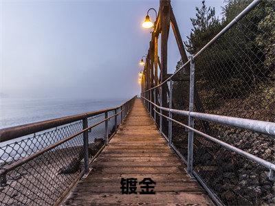 镀金免费阅读无弹窗大结局-丁思渺最新全章节全文阅读免费阅读-笔趣阁