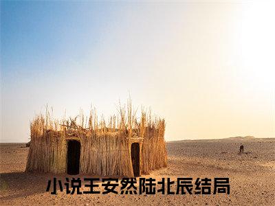 全网热搜小说（王安然陆北辰）的小说完整版免费阅读 主角是王安然陆北辰无弹窗免费阅读