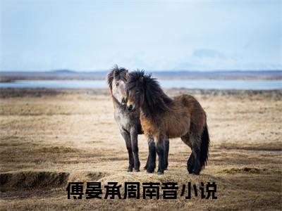 （傅晏承周南音）抖音傅晏承周南音小说阅读完结版-小说傅晏承周南音全文免费阅读