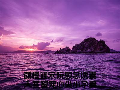 颜总诱妻入室蜜宠心尖小孕妻（颜槿澜宋阮）全文免费阅读无弹窗大结局_（颜槿澜宋阮）颜槿澜宋阮最新章节列表