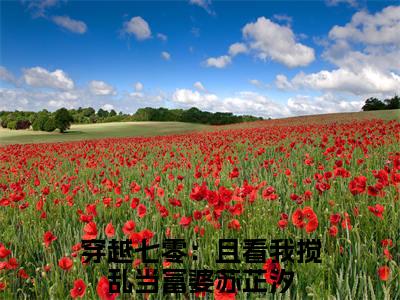 穿越七零：且看我搅乱当富婆苏芷汐全文免费阅读无弹窗大结局_ 穿越七零：且看我搅乱当富婆苏芷汐热门章节在线阅读笔趣阁