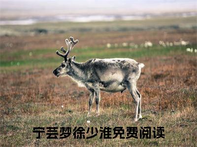 宁芸梦徐少淮全文小说-宁芸梦徐少淮小说最新章节免费阅读