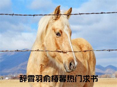 辞霄羽俞椿馨小说全文（辞霄羽俞椿馨）完整版阅读-辞霄羽俞椿馨小说全文无删减版
