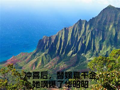 冲喜后，替嫁真千金她飒爆了华昭昭（冲喜后，替嫁真千金她飒爆了华昭昭）全文免费阅读_（冲喜后，替嫁真千金她飒爆了华昭昭）最新章节列表笔趣阁