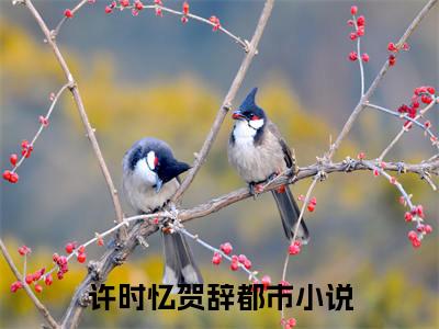 许时忆贺辞书名是《许时忆贺辞》在线赏析_许时忆贺辞txt小说阅读_许时忆贺辞在线阅读笔趣阁