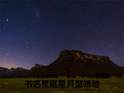 陆星月盛靖驰在线阅读（陆星月盛靖驰）全文免费阅读无弹窗大结局_陆星月盛靖驰免费最新章节列表_笔趣阁