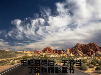 王妃自尽后，王爷当了舔狗小说完整版阅读-小说沈昭云慕容湛全文免费阅读