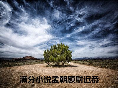 孟朝颜尉迟恭（孟朝颜尉迟恭）全文免费阅读无弹窗大结局_（孟朝颜尉迟恭无弹窗）_笔趣阁