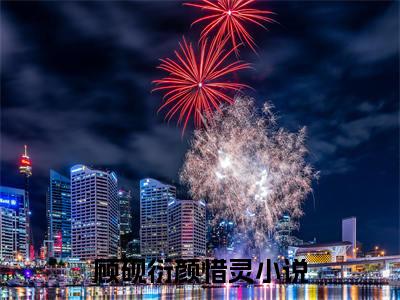顾砚衍颜惜灵小说最新章节-顾砚衍颜惜灵在线全文免费阅读