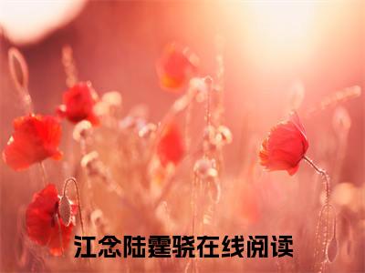 江念陆霆骁精选小说大结局阅读-新上热文小说（江念陆霆骁）讲的是什么