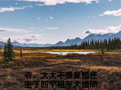 爷，太太不想复婚还生了四个祖宗全集小说（锦初傅夜宸）全文免费阅读无弹窗大结局_锦初傅夜宸最新章节列表_笔趣阁（爷，太太不想复婚还生了四个祖宗）