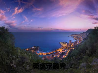 精选好书秦鸢宋鹤霁全文免费阅读大结局_秦鸢宋鹤霁（秦鸢宋鹤霁）完整版在线赏析