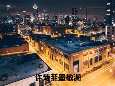 许芳菲墨敬渊全网首发最新小说-许芳菲墨敬渊全文在线免费阅读