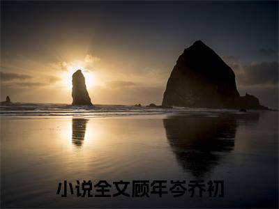 抖音热推新书顾年岑乔初-抖音热推顾年岑乔初无弹窗阅读