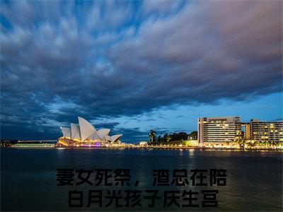 沉林知意（妻女死祭，渣总在陪白月光孩子庆生宫精彩美文）免费阅读-小说妻女死祭，渣总在陪白月光孩子庆生宫最后结局如何
