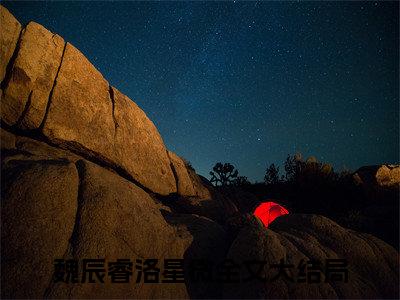 小说魏辰睿洛星微全文免费阅读无弹窗大结局-魏辰睿洛星微在线阅读