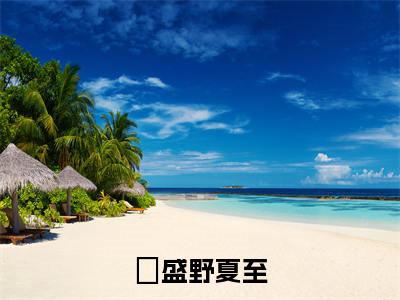 盛野夏至的书名全文免费最后一章在线阅读 盛野夏至全文小说完整版