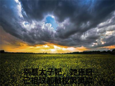 主角为别惹太子妃，她连自己祖坟都敢挖凤灵韵的言情小说讲的是什么-正版小说全文阅读