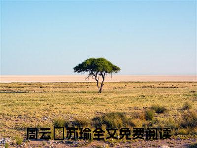 言情小说榜单周云崢苏瑜阅读全文（周云崢苏瑜）-周云崢苏瑜完整版免费小说