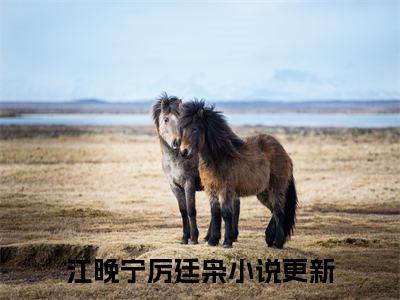 江晚宁厉廷枭（江晚宁厉廷枭）全文免费阅读无弹窗大结局_（江晚宁厉廷枭无弹窗）最新章节免费阅读_笔趣阁