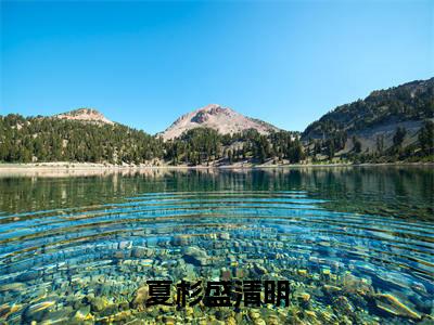 夏杉盛清明在线阅读（夏杉盛清明）全文免费阅读无弹窗大结局_夏杉盛清明免费最新章节列表_笔趣阁（夏杉盛清明）