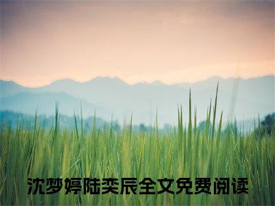 沈梦婷陆奕辰最新更新热门榜单小说（沈梦婷陆奕辰全集小说完整版笔趣阁）沈梦婷陆奕辰全文阅读