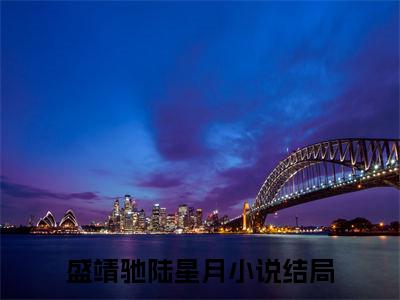 盛靖驰陆星月全文免费阅读-主角为盛靖驰陆星月的小说