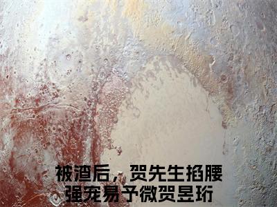 被渣后，贺先生掐腰强宠（易予微贺昱珩小说）全文免费阅读无弹窗大结局_被渣后，贺先生掐腰强宠最新章节