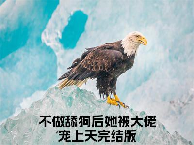 【全文】《不做舔狗后她被大佬宠上天》小说txt在线阅读_（不做舔狗后她被大佬宠上天全章节）-不做舔狗后她被大佬宠上天_宋瑾沈渊在线阅读
