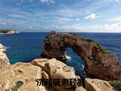沈知暖谢轻寒（沈知暖谢轻寒）全文免费阅读大结局_沈知暖谢轻寒最新章节列表_笔趣阁