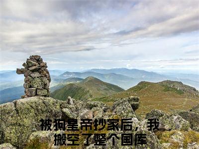 林雪竹元修（被狗皇帝抄家后，我搬空了整个国库免费阅读无弹窗）被狗皇帝抄家后，我搬空了整个国库最新章节列表_笔趣阁