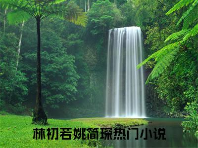 林初若姚简琛全文免费阅读 林初若姚简琛章节免费阅读