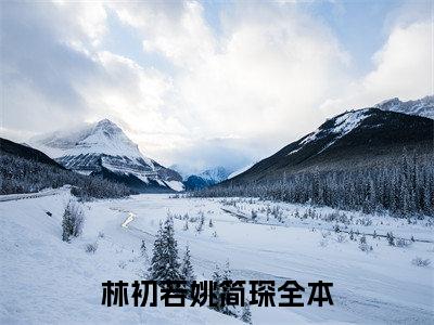 林初若姚简琛小说免费（林初若姚简琛）全文免费阅读无弹窗大结局_（林初若姚简琛）林初若姚简琛小说免费免费阅读无弹窗最新章节列表