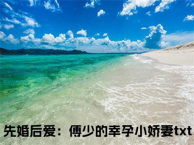 洛繁星傅云琛全文免费阅读无弹窗大结局-先婚后爱：傅少的幸孕小娇妻在线阅读最新章节列表_笔趣阁